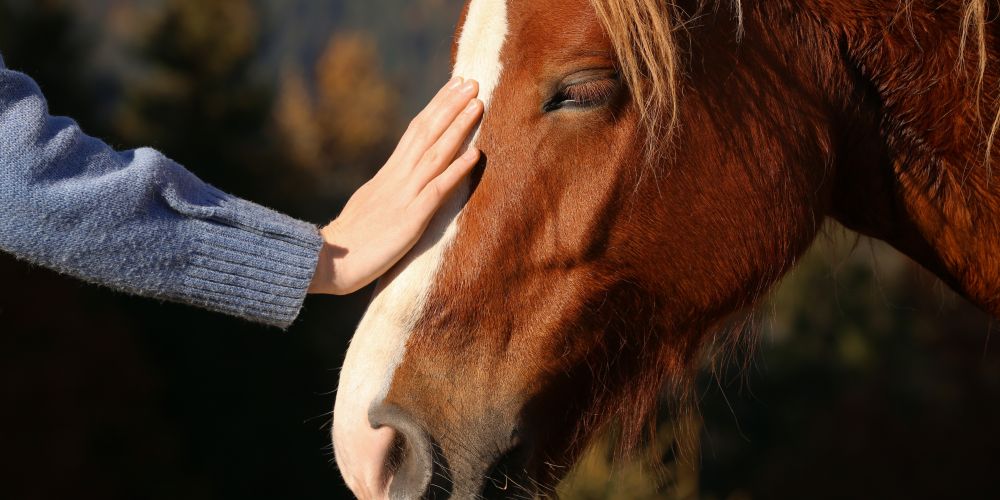 Métodos terapéuticos