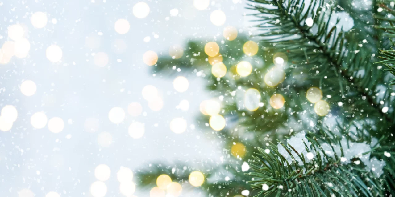 Se acabó la Navidad: ¿qué hacer con el árbol?