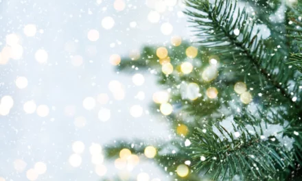 Se acabó la Navidad: ¿qué hacer con el árbol?