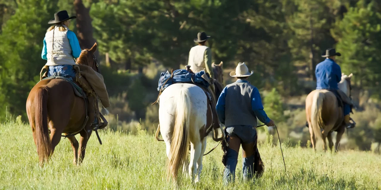 Alimentar a los caballos durante las rutas
