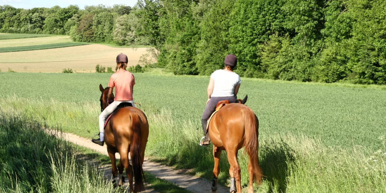 Verano significa temporada de paseo ¿Por qué no pruebas con una búsqueda del tesoro?