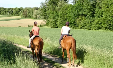 Verano significa temporada de paseo ¿Por qué no pruebas con una búsqueda del tesoro?