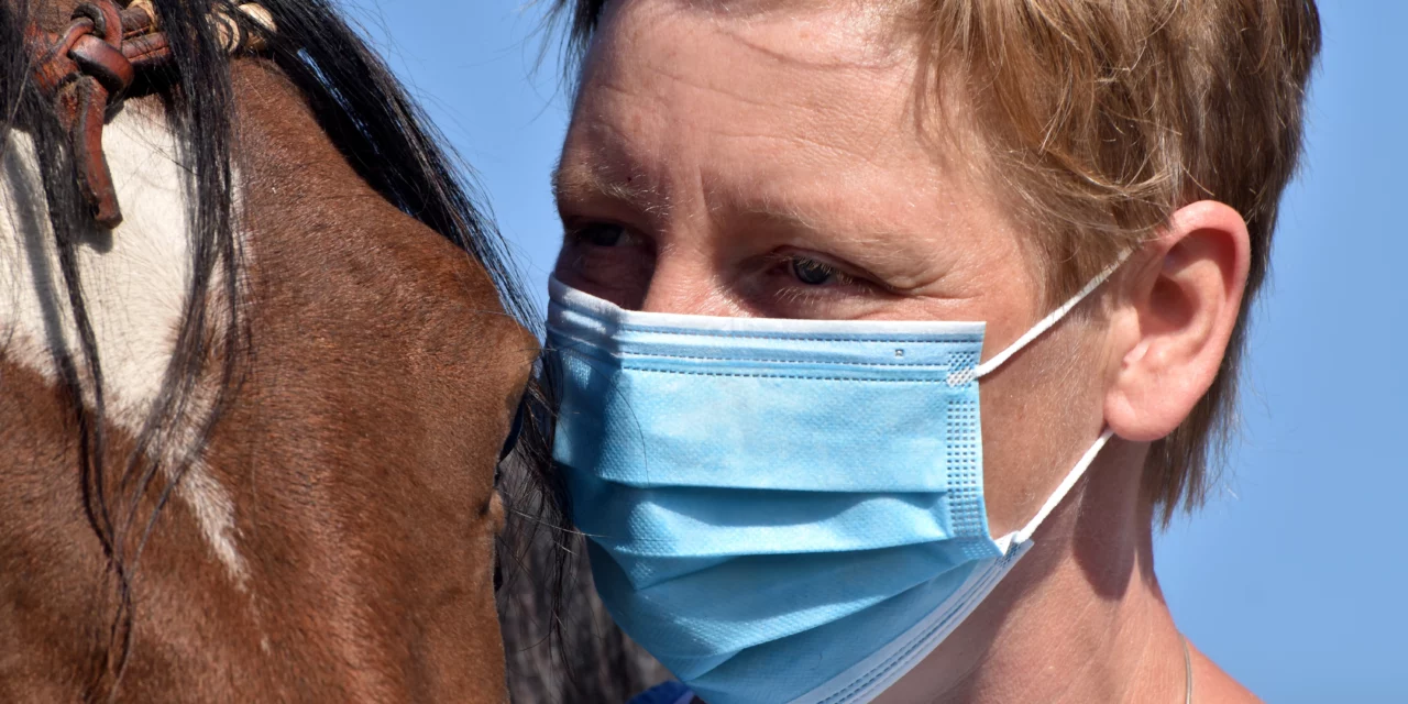 Coronavirus: ¿peligroso para los caballos?