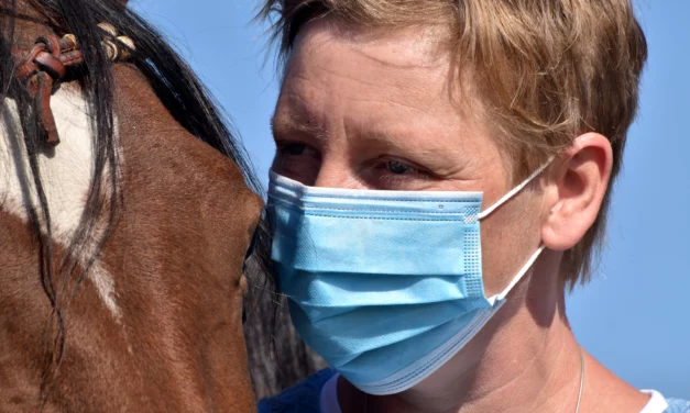 Coronavirus: ¿peligroso para los caballos?