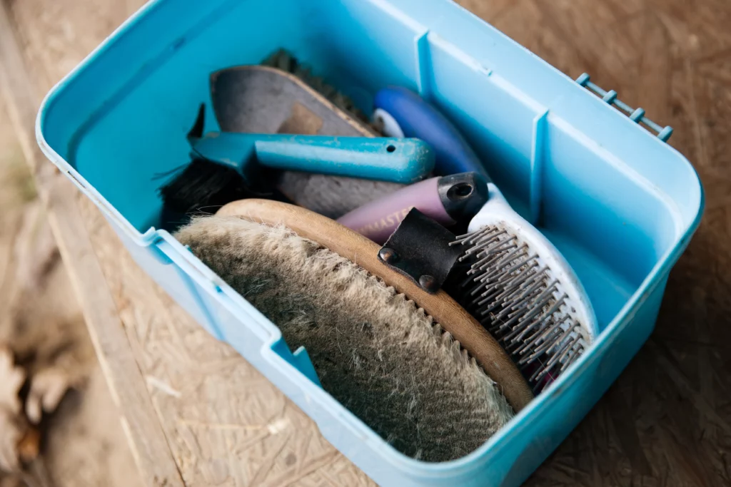 Caja con cepillos para el aseo