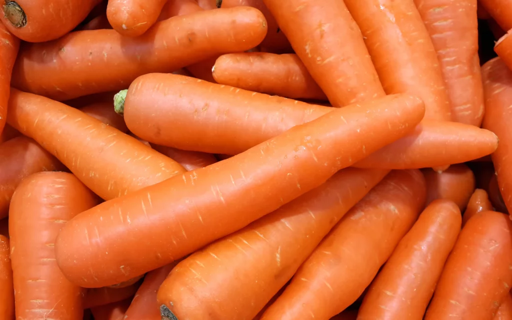 Muchas zanahorias