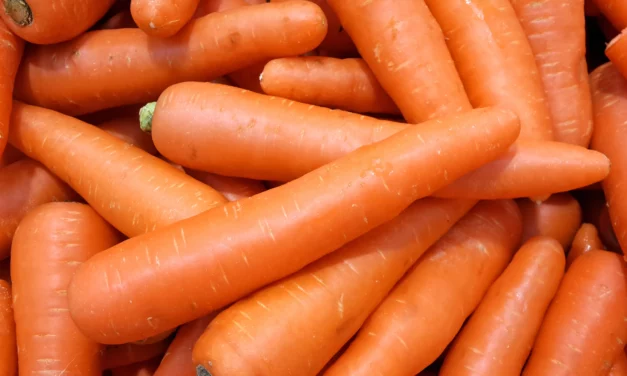 ¿Dar zanahorias si o no?