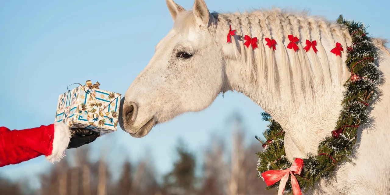 5 cosas que los caballos desearían para Navidad