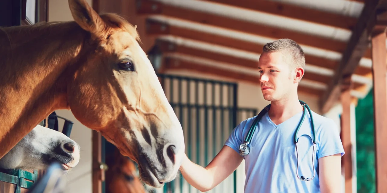 ¿Qué peligro tiene el herpes (VHE) para mi caballo?