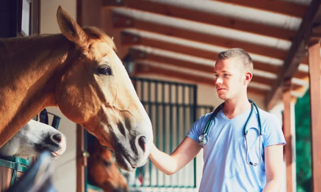 ¿Qué peligro tiene el herpes (VHE) para mi caballo?