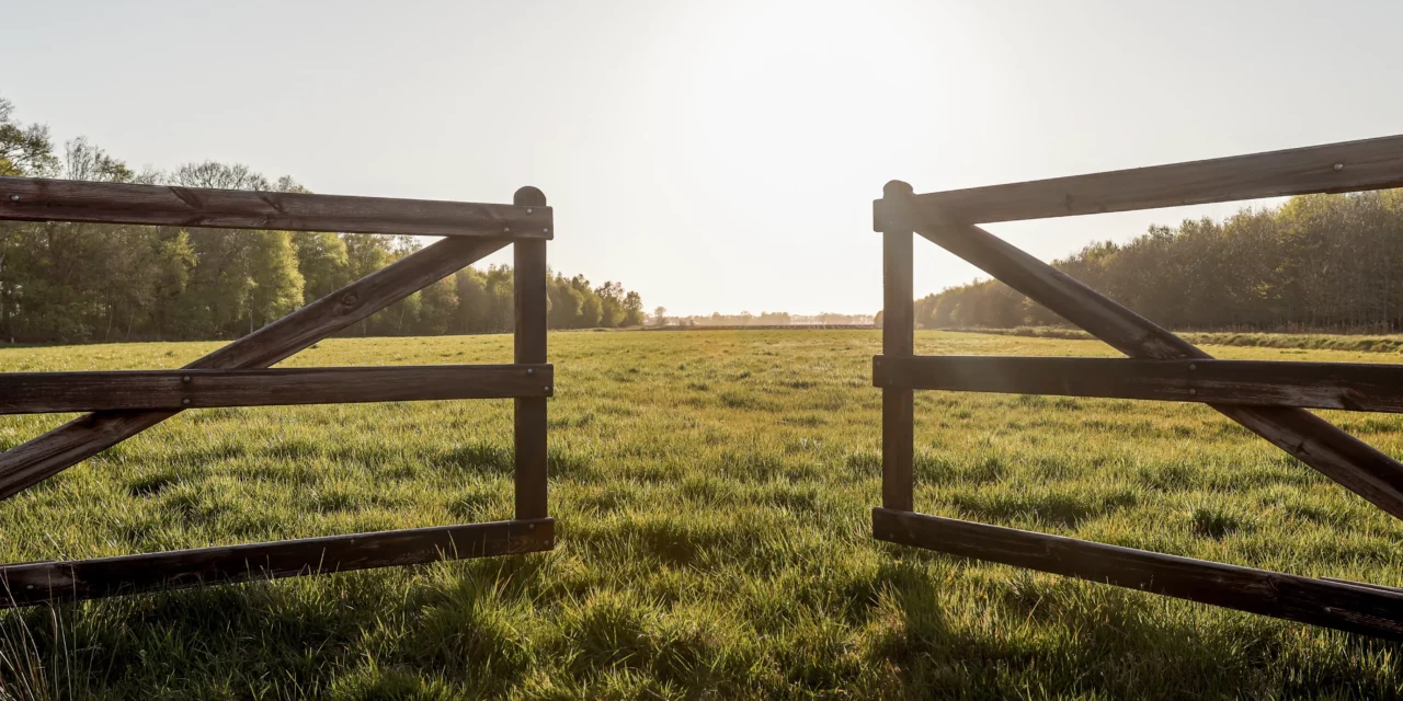 5 puntos para preparar los prados para la primavera