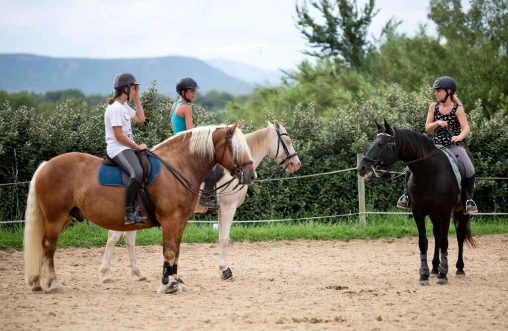 tres caballos en la pista
