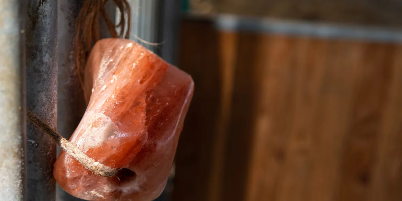 Piedras de sal «todo lo que puedas comer» en el establo de cría – ¿funciona?