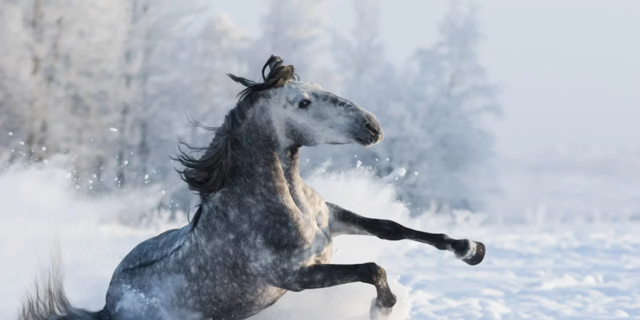¡Cuidado con el hielo escarcha!