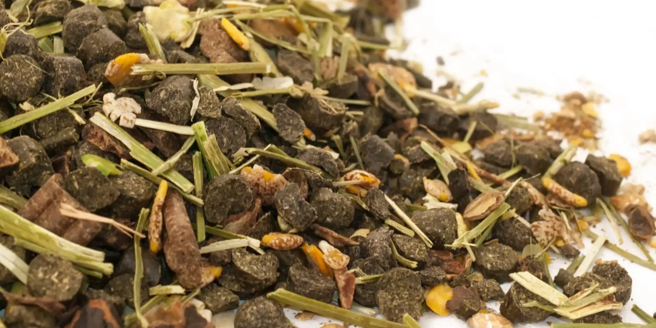 Mueslis estructurados, mueslis sin cereal, picadillo de alfalfa: ¿una alternativa saludable a los piensos concentrados o al heno?