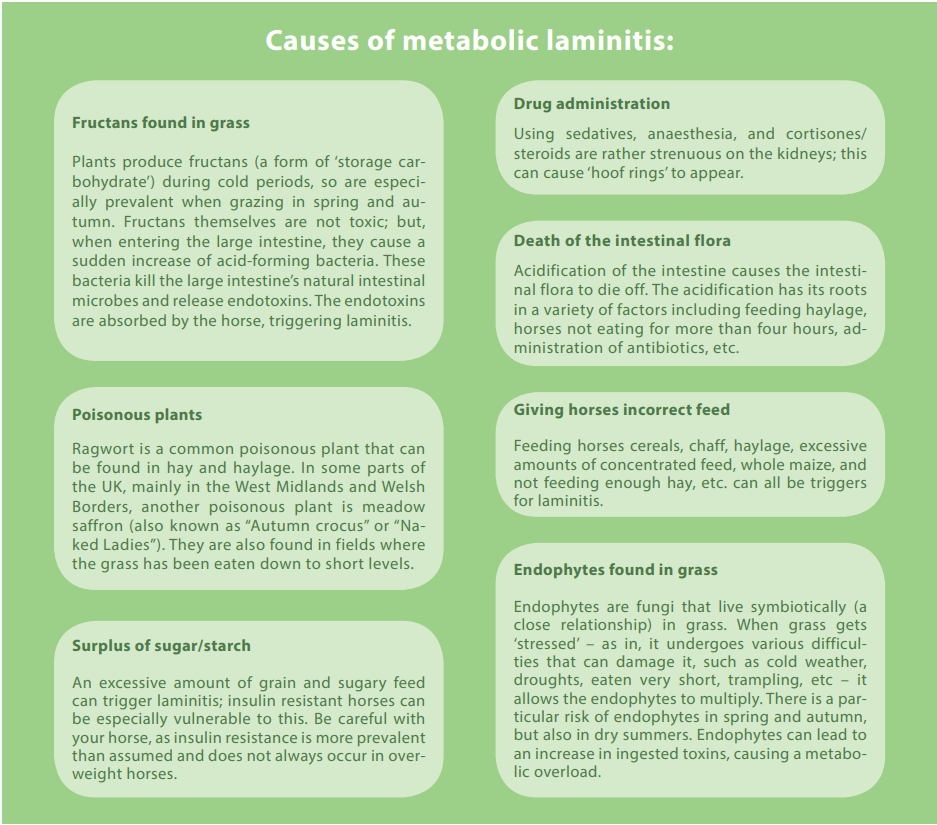 Causes of metabolic laminitis