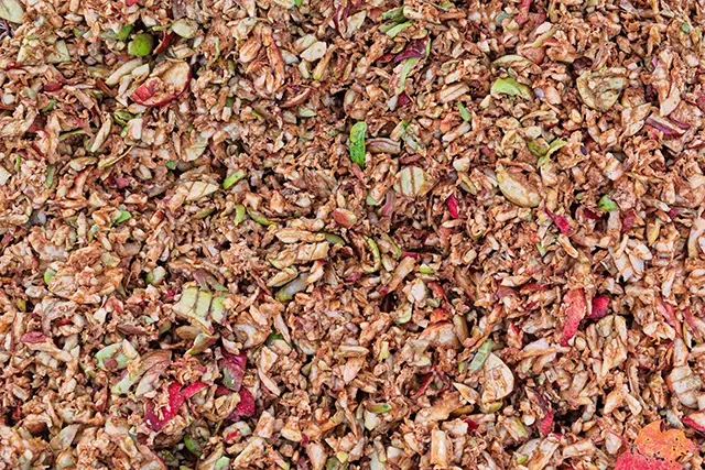 Pulpa de manzana