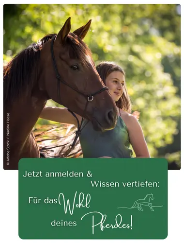 Jetzt anmelden & Wissen vertiefen: Für das Wohl deines Pferdes!