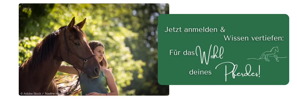 Jetzt anmelden & Wissen vertiefen: Für das Wohl deines Pferdes!