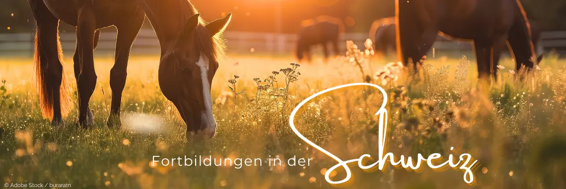 banner Fortbildung in der Schweiz